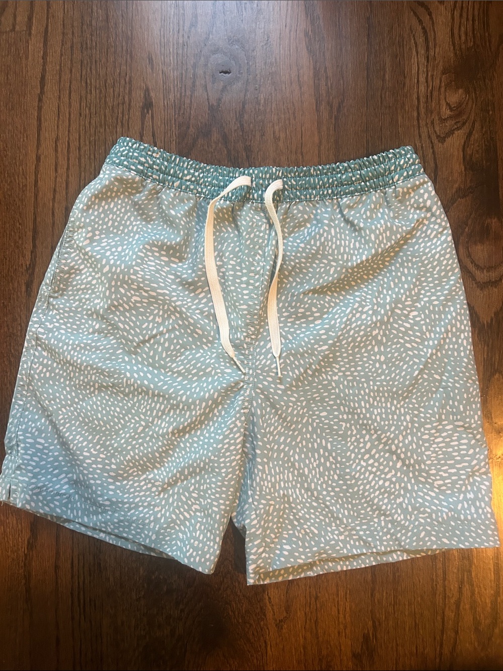 Boy’s Seafoam Chubbies Patterned Swim Trunks with Drawstring.